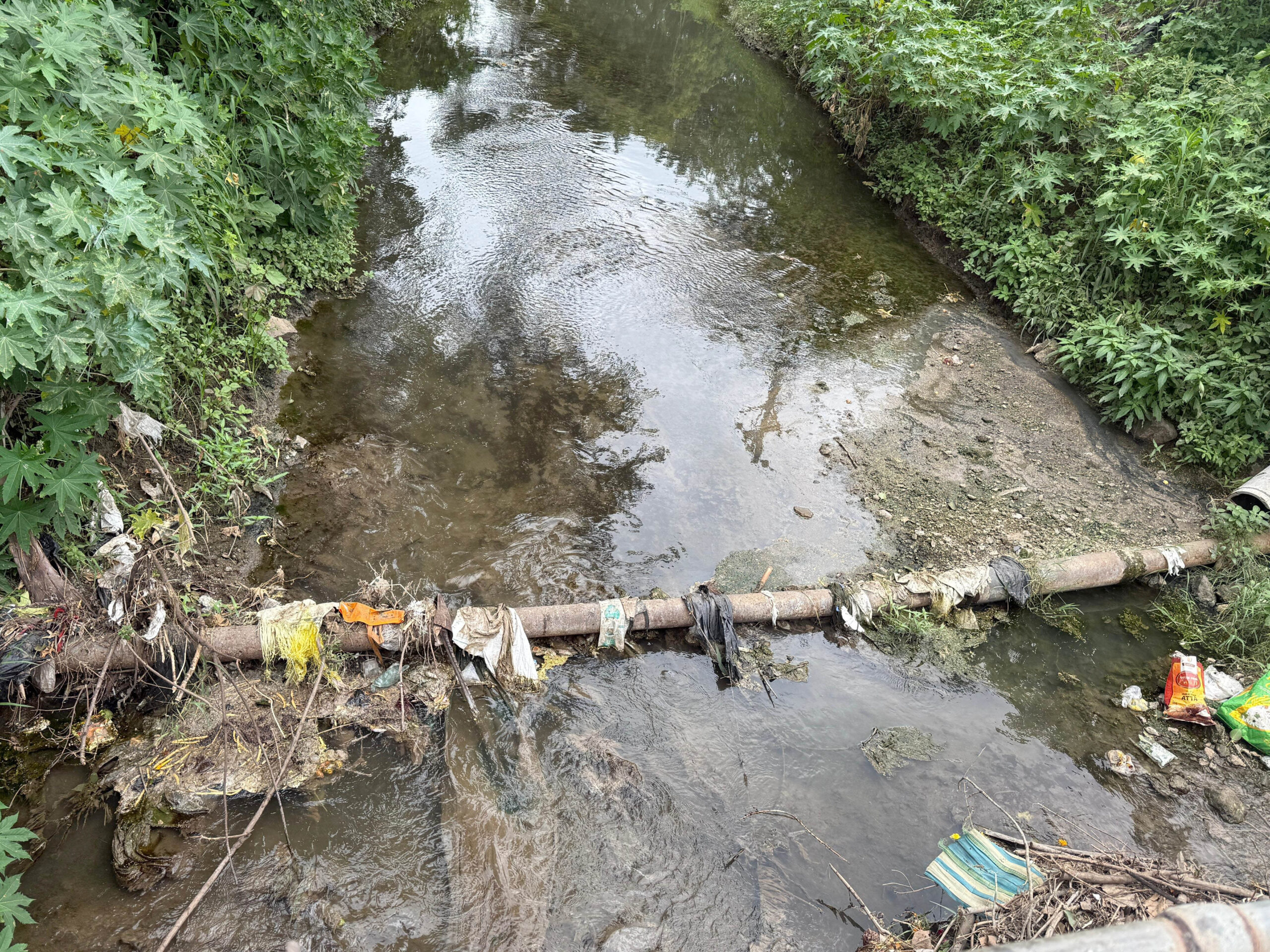 Contaminated water issue,नागरिक,
प्रभाग